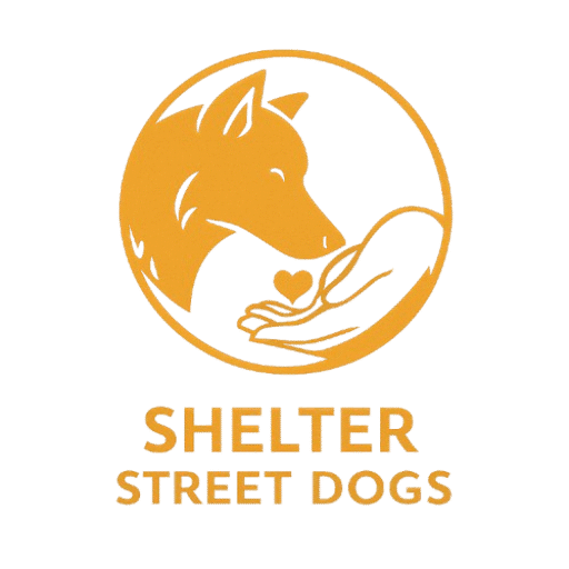 b5ba1d19 dca4 489a 83dc d2038d2cf7f0 removebg preview (1)