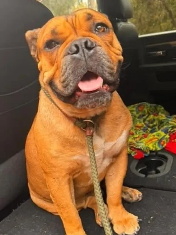 rs=w 600,cg true,m (1)